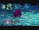 【FFナンバリング制覇】FINAL FANTASYⅤ part25【実況】