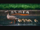 カモかもね (Instrumental)
