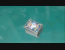 [ポケモンカード]カードシャッフルの基本[初心者必見・ジムバトル行く前に]