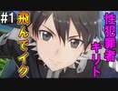 【SAOLS】世界で1番汚い妖精、キリト#1【ソードアートオンラインロストソング】