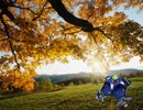 ツクダ・クエスト