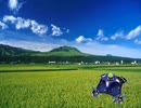 レインボー佃煮クルーズ