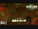 【ゼルダの伝説 Tears of the Kingdom】炎の賢者【実況】#41