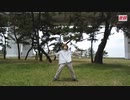 【踊ってみた】初音ミク：Yellow