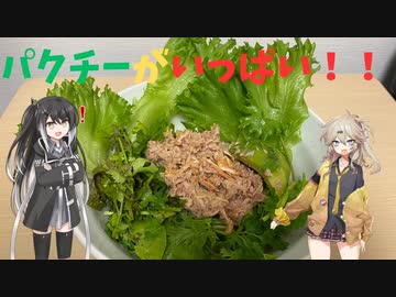 パクチーたっぷりのシーチキンサラダうどん！！【うどん実食動画】