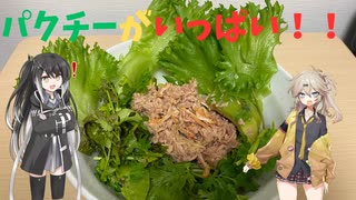 パクチーたっぷりのシーチキンサラダうどん！！【うどん実食動画】