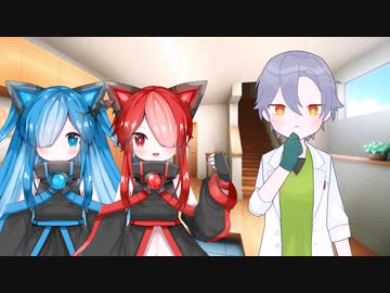 猫とメス