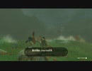 【Switch】リンクがゾナウとゼルダ探し旅【プレイ動画】part35