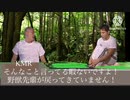 淫夢劇場　野獣先輩いと空手部メンバーたちがきのこ狩りに行く前編