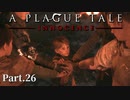 【A Plague Tale -Innocence-】ゲーム実況 #26 絶望の根源へ立ち向かう為、それぞれが思いを抱き反撃の一歩を踏み出す...