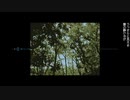 relief/かにとかげfeat.裏命