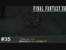 ゲテモノは美味いと相場が決まって…　FINAL FANTASY XⅥ　実況　#35