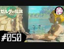 【ティアキン＃50】凡人が行く龍泪旅