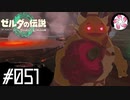 【ティアキン＃51】凡人が行く龍泪旅