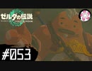 【ティアキン＃53】凡人が行く龍泪旅