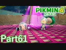 ルーイとの決闘【PIKMIN4実況part61】