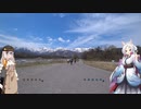あかりさんの　さて今日は何をしましょうか？その33～桜のAACR2023～