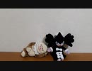 【ポケモンを背にして】黒炎の支配者【連弾開封1】