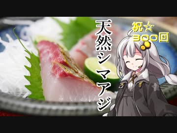釣れなくても料理！シマアジのお造り！【VOICEROIDキッチン】