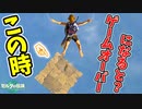 エノキダ姫･ラストの落ちてる時に死んでみると？(ver1.1.0)【ティアキン TotK】裏技 バグ 検証 ゆっくり実況 glitch