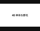 【無知tao投稿祭】 40 神待ち野花