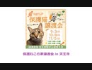 保護ねこの家譲渡会 in 天王寺
