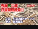 神之真券「2023新潟記念・小倉2歳ステークス」予想公開！