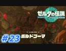 【実況】果てなき冒険は、大空へ広がる【ゼルダの伝説 ティアーズオブザキングダム】＃23
