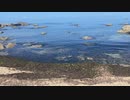 新潟県村上市　海府ふれあい広場から日本海を眺める２　2023　0820