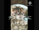 ナス煮浸しにいそ松葉あうよ深夜の病院振り替えると看護師さんナス煮浸し違ったナースにビビッタし