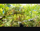 【第173回】ブルーベリー狩り②となでなで②と一人乗り？とズッキーニ