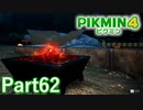 夜のキャンプ場はキケンな生物がたくさん【PIKMIN4実況part62】