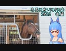 【琴葉姉妹旅行】名馬に会いに行こう　2023後編【競馬】