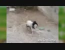 MovieProは神