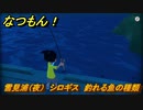 なつもん！　雪見浦（夜）　シロギス　釣れる魚の種類　＃８２２　【なつもん！20世紀の夏休み】