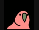 ただかぽぽが音楽に合わせて踊ってるだけの動画()