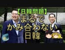 【ゆっくり解説】まるでかみ合わない日韓