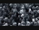 Noise_179
