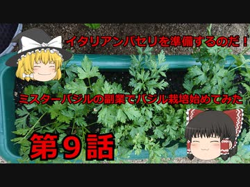 ミスターバジルの副業でバジル栽培始めてみた第９話