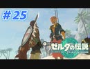 【実況】果てなき冒険は、大空へ広がる【ゼルダの伝説 ティアーズオブザキングダム】＃25