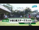 【競馬】2023年 第43回小倉2歳ステークス(GⅢ)【アスクワンタイム / 岩田望来】