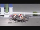 2023年9月3日高知競馬8R 祝誕生日＆Ｓ６協賛 りりかおめでとう特別(A-3組) スリングショット