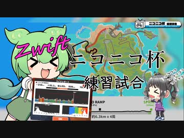 あの景色をずんだもんはまだ知らない。番外編　【ニコニコ杯 練習試合】
