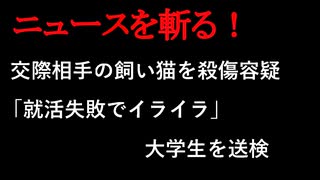 【ニュースを斬るvol.107】交際相手の飼い猫を殺傷容疑「就活失敗でイライラ」大学生を送検【切り抜き】【雑談】【アフラン】