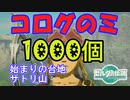 コログのミ1000個 集めよう！ Part02　始まりの台地・サトリ山 【ゼルダの伝説 ティアキン】