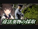 【パラソーシャル】顔バレVtuberと違〇薬〇の採取現場【VOICEROID実況/ホラーゲーム】