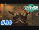 【実況】果てなき冒険は、大空へ広がる【ゼルダの伝説 ティアーズオブザキングダム】＃30