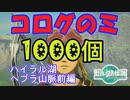 コログのミ1000個 集めよう！ part03　ハイラル湖周辺・ヘブラ山脈前編 【ゼルダの伝説 ティアキン】