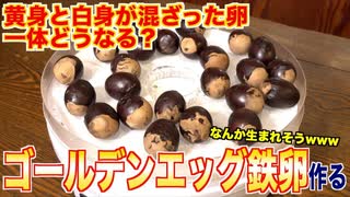 【もやは卵じゃない？】鉄卵をゴールデンエッグで作ってみた