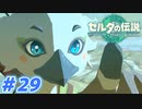 【実況】果てなき冒険は、大空へ広がる【ゼルダの伝説 ティアーズオブザキングダム】＃29